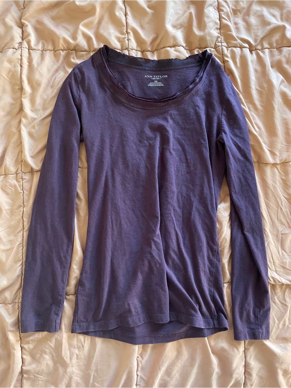 Ann Taylor Long Sleeve Crewneck Top - Plum
